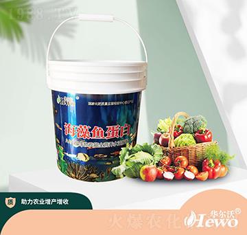 �����~(y��)����-��ķ��-�A����