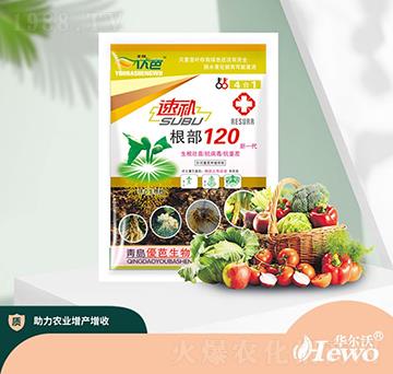 ���a(b��)����120-�A����