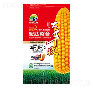 聚肽螯合緩釋摻混肥料28-15-12-大豐收-遠洋眾德