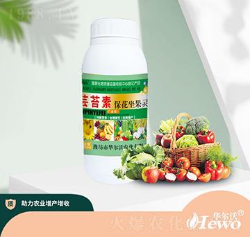 �|̦�ر��������`-�A����