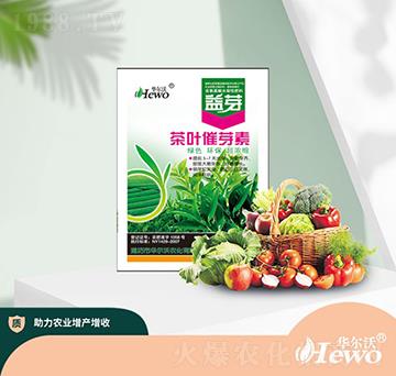 ���~��ѿ��-�A����