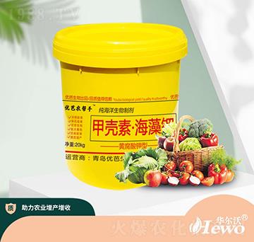 �ך��ء�����⛣��S��-�A����