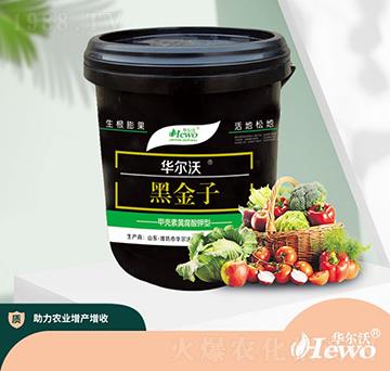 �ڽ���-�A����