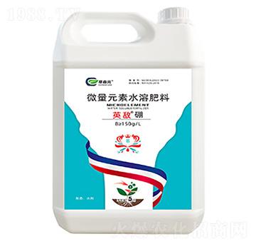 ΢��Ԫ��ˮ�ܷ���-Ӣ������-��ɭԪ