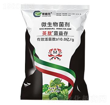 ΢�������-Ӣ���������-��ɭԪ