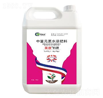 ����Ԫ��ˮ�ܷ���-Ӣ�����}�V-��ɭԪ