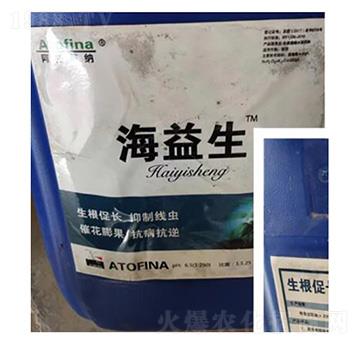 ������-�ѷ�Ԫ