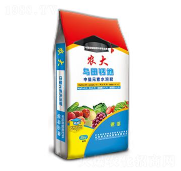 �����{�턩ϵ��-�����}��-�r�����B(t��i)