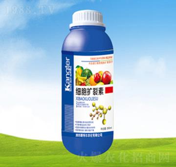 ��(x��)���U(ku��)����-���ؠ��r(n��ng)��