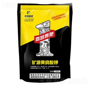 �VԴ�S�����-����Ҽ��