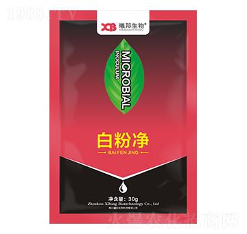 �׷ۃ�΢�������-�ذ�����