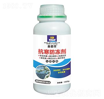 ����������-����S-�ذ�����