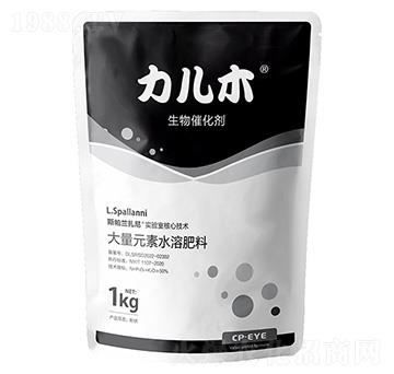 ����ľ�M������߻���-�ۃ�