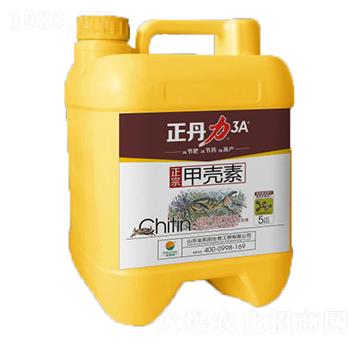 �ך���-������-���P�