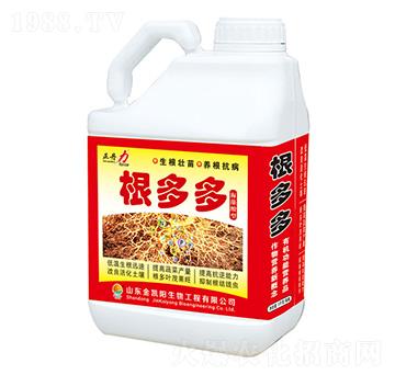 �����-������-���P�(y��ng)