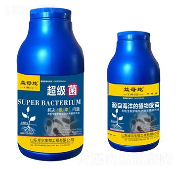 ����(j��)��-��ĸ��-׿������