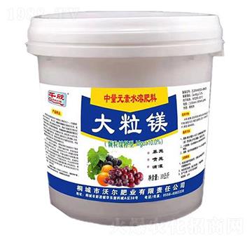 �����V-�֠��ʘI(y��)