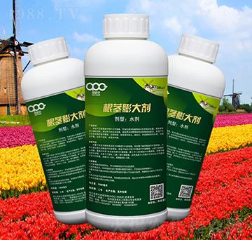 根莖膨大劑-愛(ài)派克