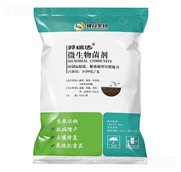 ΢�������-�����_-�̘�����