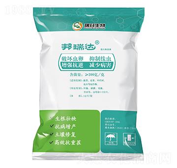 �����_΢�������-�̘�����