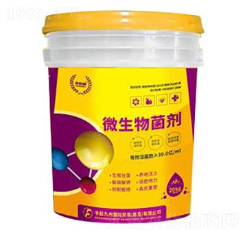 20kg΢�������-�S�ž���