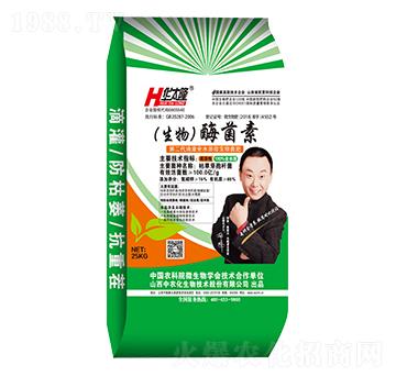 ����ø����-�A̫¡-���r(n��ng)��