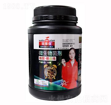 ΢�������-���ѡ�������-��ڱ�