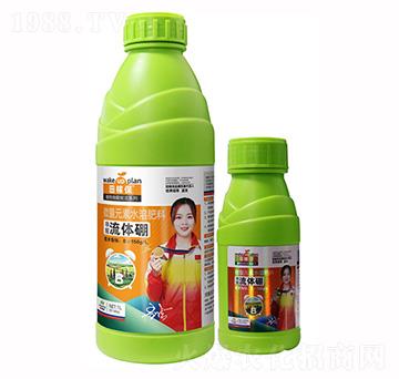 ���ѡ����w��-��ڱ�