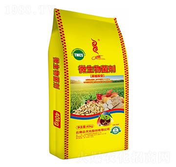 ��ֲ����΢�������-���v����