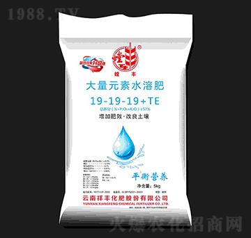 大量元素水溶肥料19-19-19+TE-螳豐-祥豐商貿(mào)