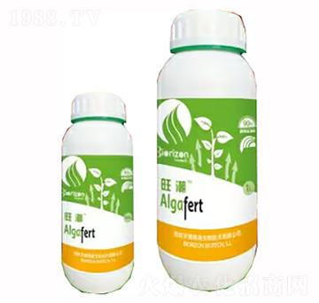 ����-�����m��