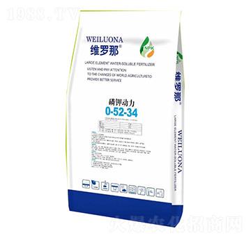 ��⛄�(d��ng)��0-52-34-�S�_��-������