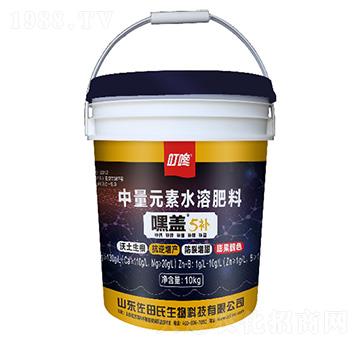 嘿蓋5補(bǔ)中量元素水溶肥料-佐田氏