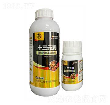 ����Ԫ��ˮ�ܷ�-ʮ��Ԫ��-��������