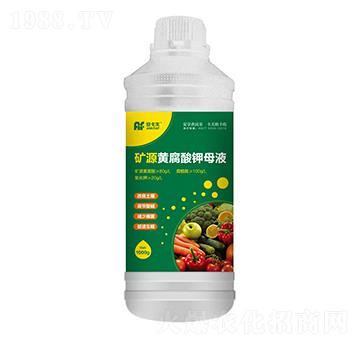 �VԴ�S�����ĸҺ-������