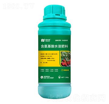 300g草莓需用含氨基酸水溶肥料-安卡夫