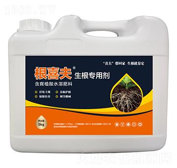 5kg生根專用劑-根喜夫-安卡夫