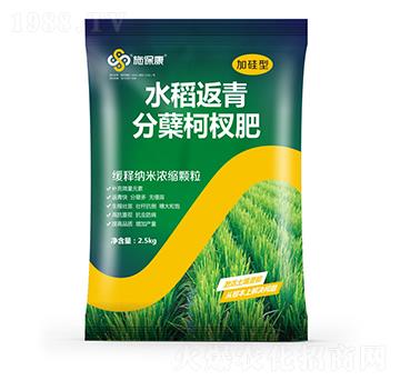加硅型水稻返青分蘗柯杈肥-施保康