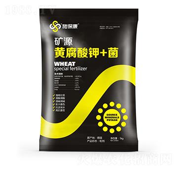 �VԴ�S�����+��-ʩ����