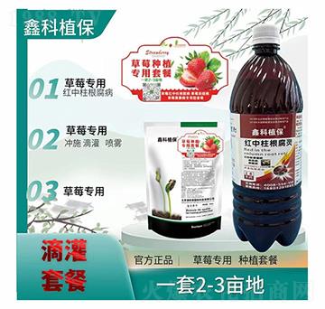 ��ݮ�t���������`�ײ�-�ο�ֲ��