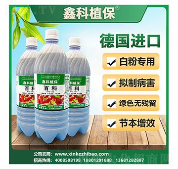 �ٿư׷۲���(zhu��n)��-�ο�ֲ��