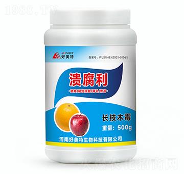 500g�L(zh��ng)֦ľù-������-������