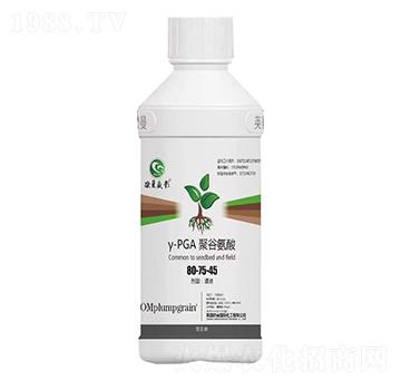 �۹Ȱ���80-75-45-�W��