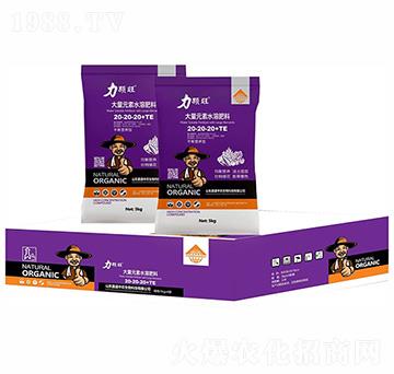 ƽ��I�B(y��ng)�ʹ���Ԫ��ˮ�ܷ���20-20-20+TE-���w��-��ʢ���r