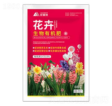 ���������ЙC��-������