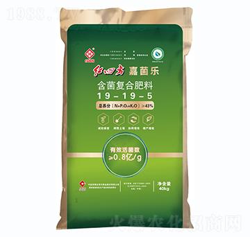 含菌復(fù)合肥料19-19-5-嘉菌樂-紅四方