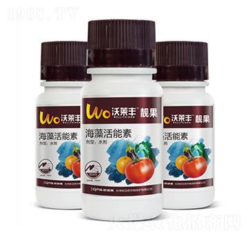 �n��-���R�S-�W�~˼�r�I(y��)