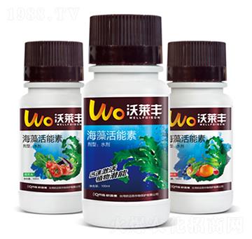 ���������-���R�S-�W�~˼�r�I(y��)