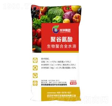 �۹Ȱ���-�����@�}-���A�r��