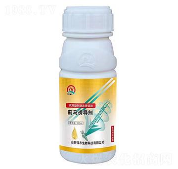 �E�R�T����-���r(n��ng)